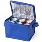 Camping cooler bag | various colors