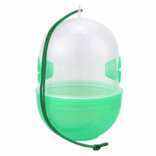 Wasp Catcher Green/Transparent