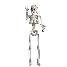 Halloween hanging decoration skeleton 40 cm white
