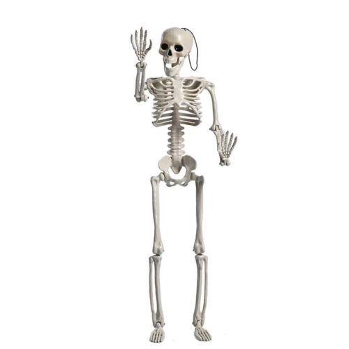 Halloween hanging decoration skeleton 40 cm white