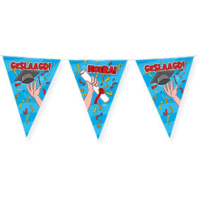 Graduation Flag Bunting