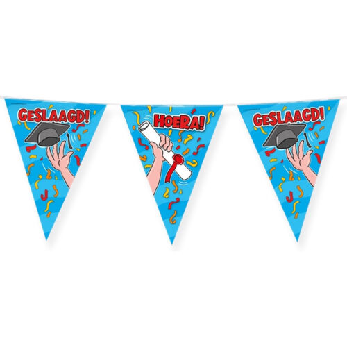 Graduation Flag Bunting