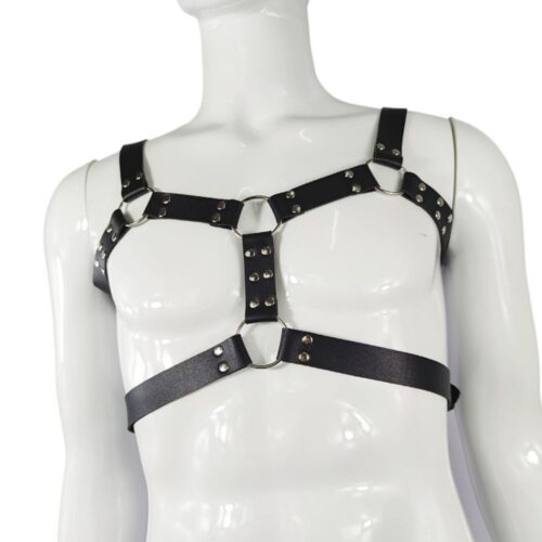 Body harness with double straps and buckles, black