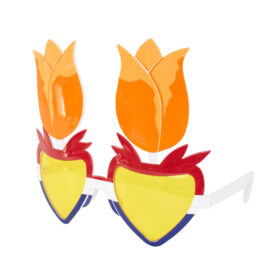 Party Glasses I Love Holland – Orange Tulip Glasses