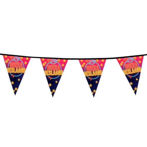 Graduation banner neon - 6 meters - 15 flags